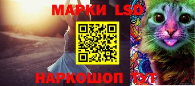 мдпв Донецк