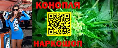 гашик Дубна