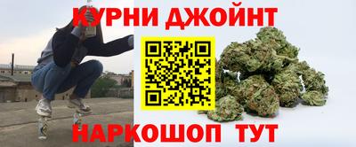 гашик Дубна