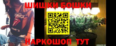 гашик Дубна