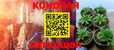 гашик Дубна