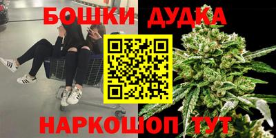 гашик Дубна